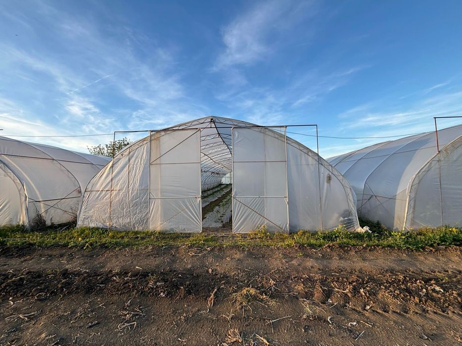 Продавам оранжерии и инвентар