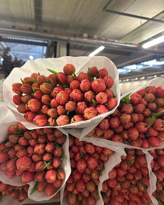 Тюльпаны,букет цветов,цветы