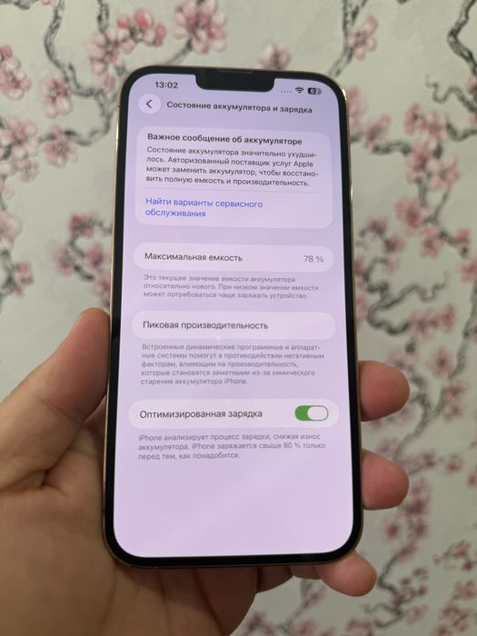 Iphone 13 pro max 256gb