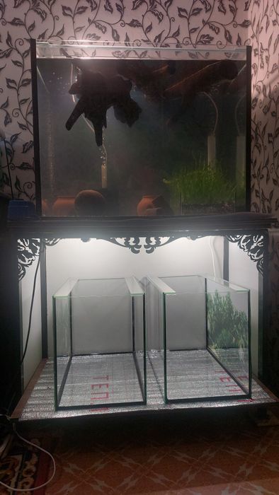 Аквариум  200 лит. Продам!