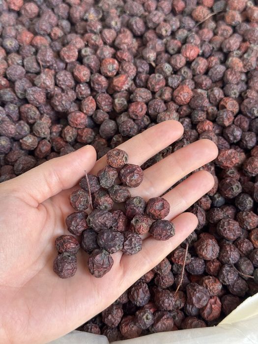 Olcha tog'olcha вишня  сушенная горная алча олча тог олча o'lcha