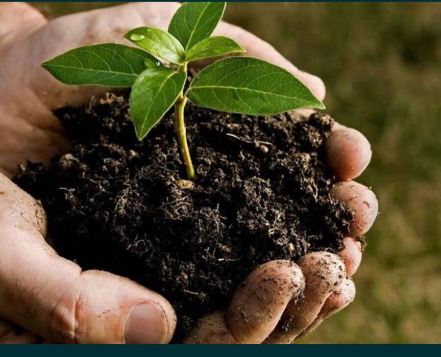 Биогомус Сотамиз Оптом ва Арзон Нархда