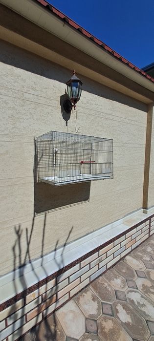 Кафас клетка булбул учун.