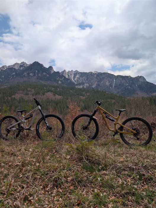 Canyon Torque 2023 M
