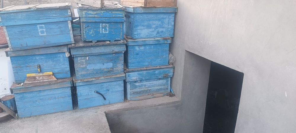 Асалари уйалари сотилади