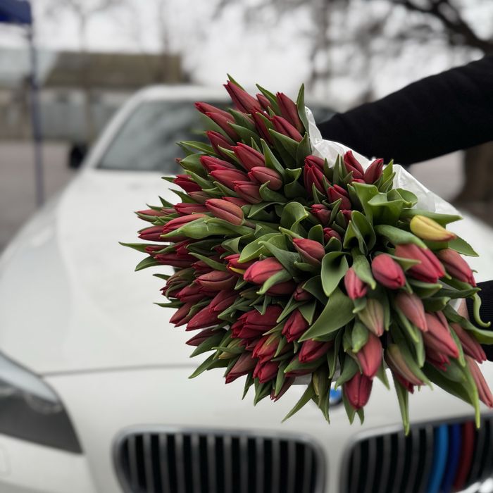 Голландские тюльпаны