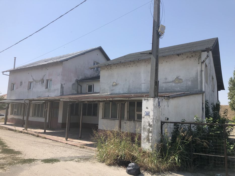 Stradal pe Soseaua Alexandriei