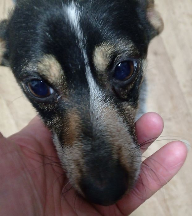 Маленькая бусинка