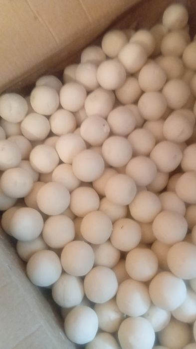 Продам  курт хорошие