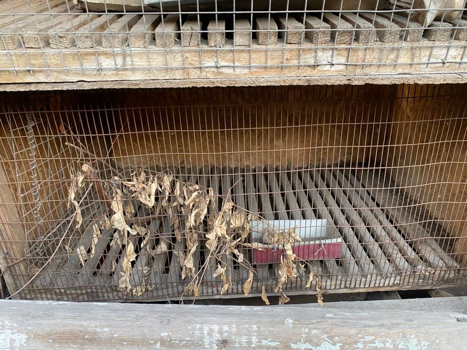Продам Клетки кроличьи
