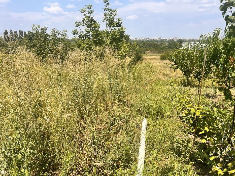Casă cu teren 820 mp în zona Primăriei Popești-Leordeni | Poziție excelentă pentru locuit sau investiție