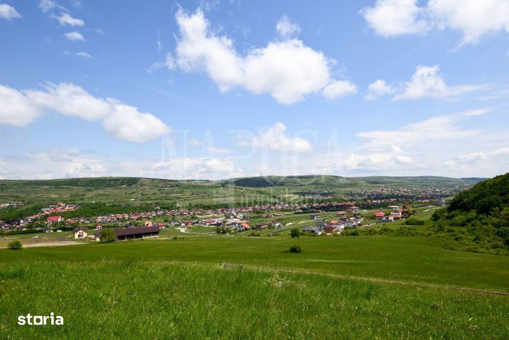 Teren intravilan pentru constructii de vanzare in Chinteni