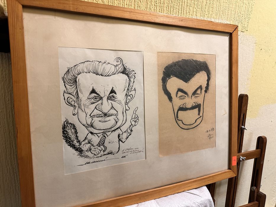 Картина/Карикатура/Колекция/Изкуство