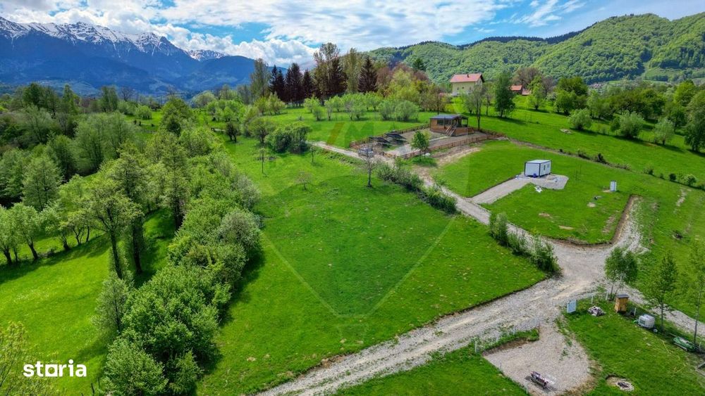 Teren 500mp-1000-2000mp, intravilan, intre Bran si Zarnesti (Tohanita)