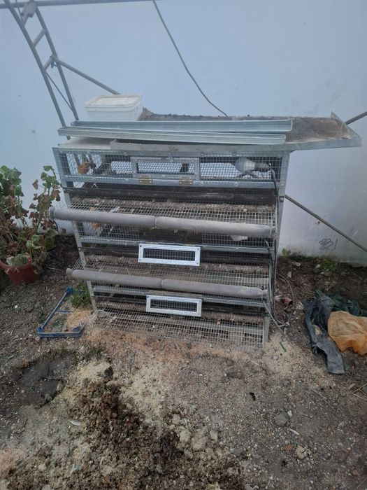 Триетажна клетка за пъдпъдъци