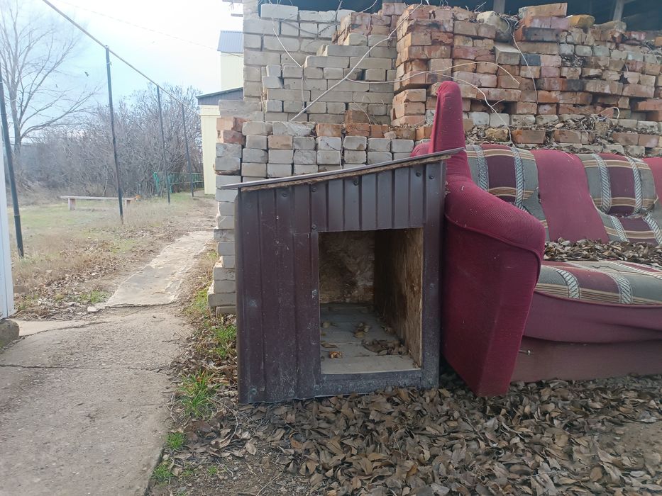 Продам бутку для собаки