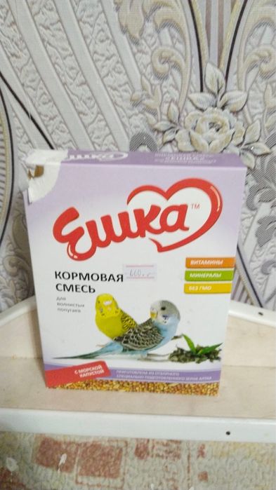 Продаетстя попугай девочка и мальчик