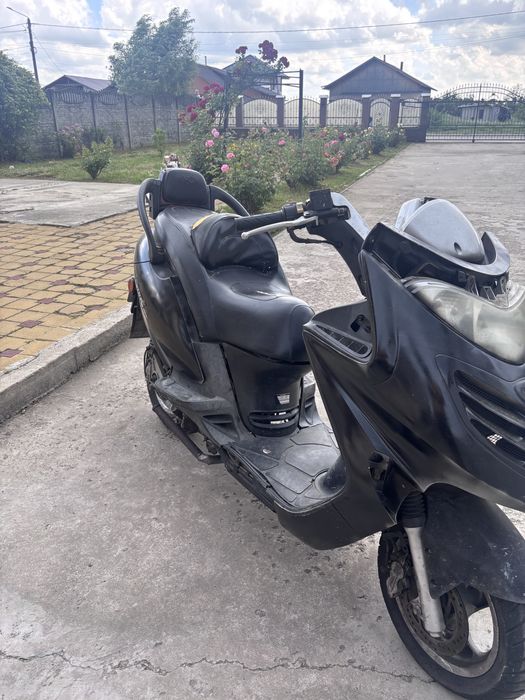 Kymxo grand dink 250