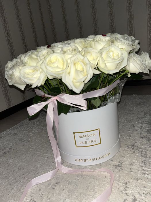 51роза,свежие