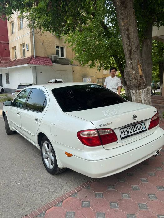 NESSAN MAXIMA sotiladi .