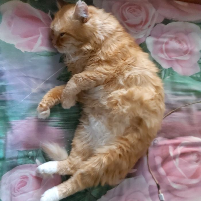 Ищет своего человека.