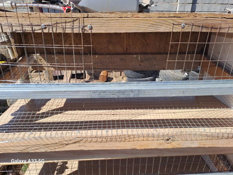 Бөдене клеткасы сатлады