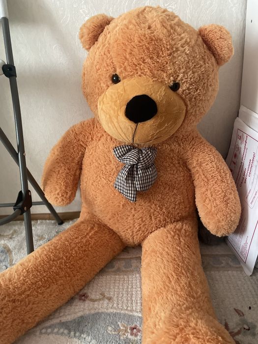 Плюшевые мишки