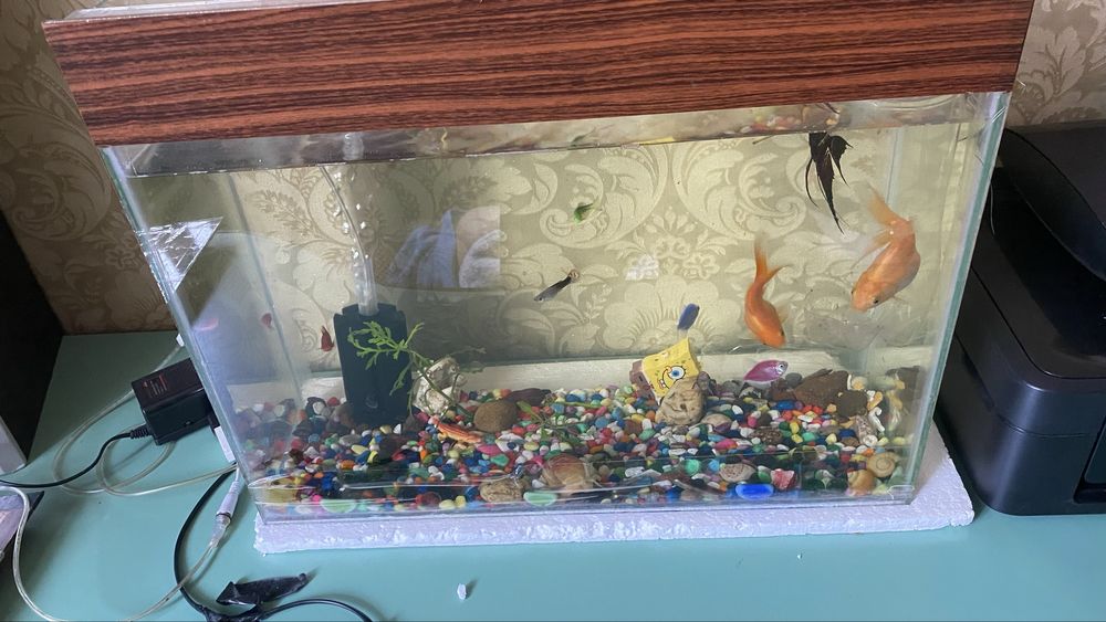 Аквариум на 55 литр