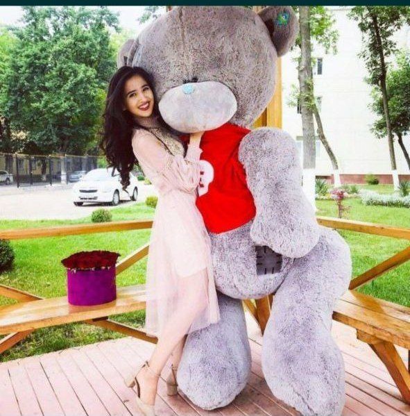 Ayiq Teddy тедди (30sm. 3metrgacha)