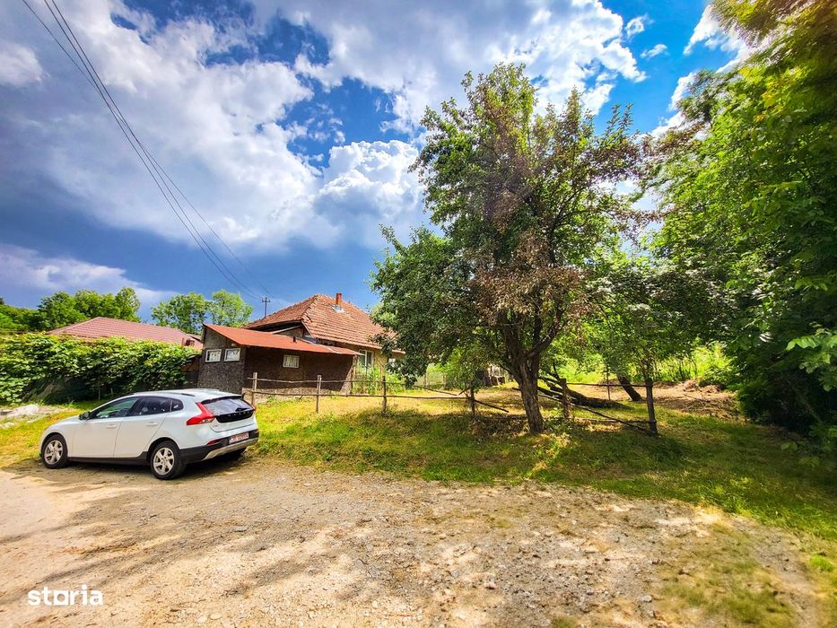 Teren 11700 mp în Valea Lungă, o oază de liniște, aer curat, verdeață