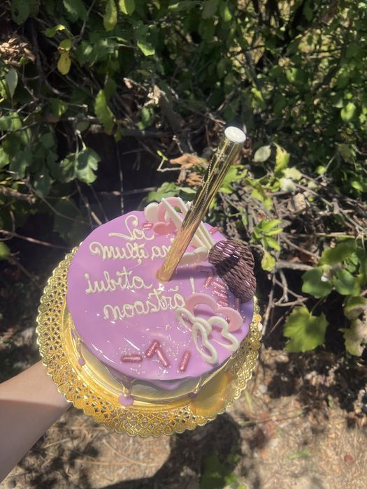 Surprize La Domiciliu Severin