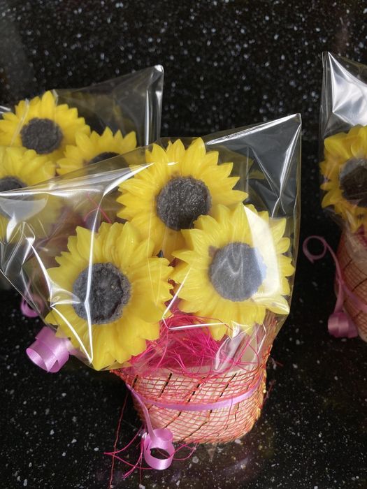 Слънчогледи в кашпа