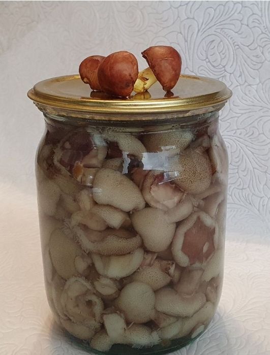 Продам грибы,маслята.