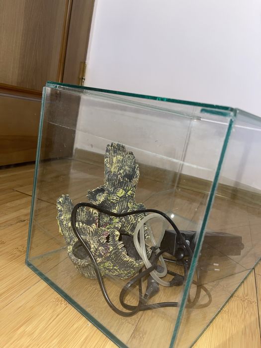 Аквариум с набором для аэрации и инсталляции для рыб