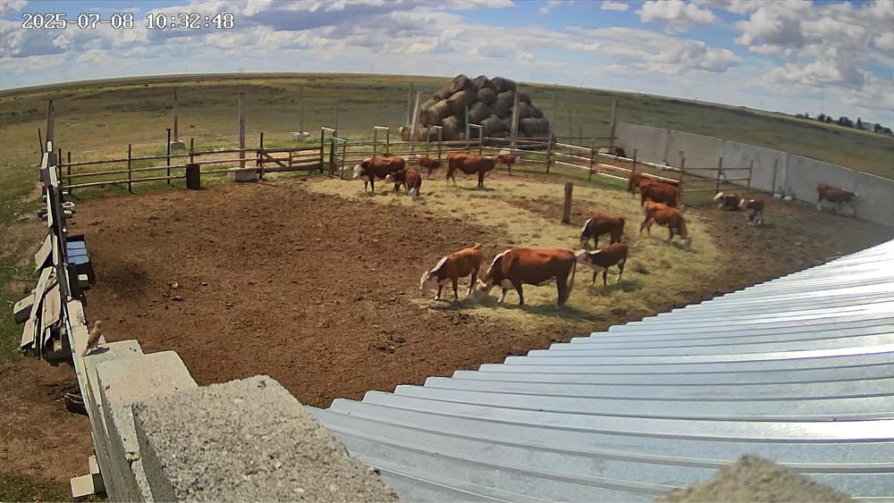 Продам ферму, базу, хозяйство,дом