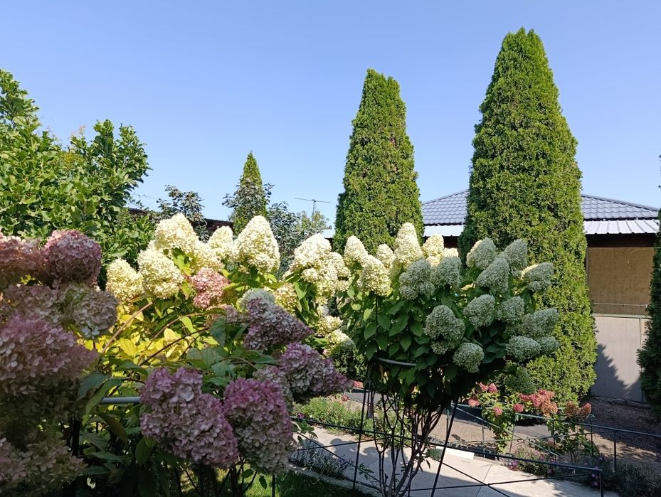 Услуги Садовника Алматы