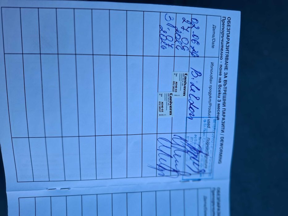 Продавам белгииска овчарка