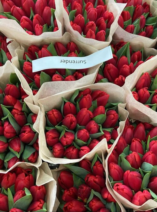 Тюьлпан сатылады гулдер