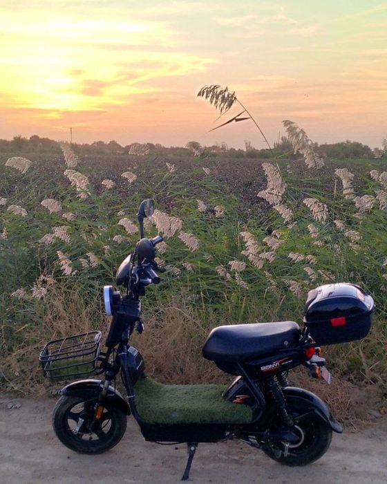 Scuter bonvi holati yaxshi