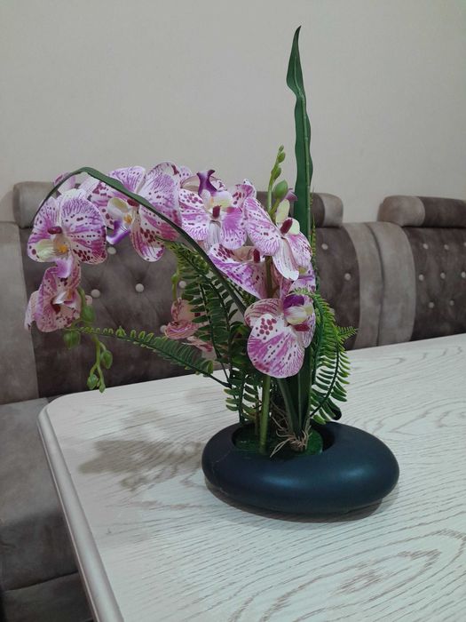 Dekorativniy suniiy gullar