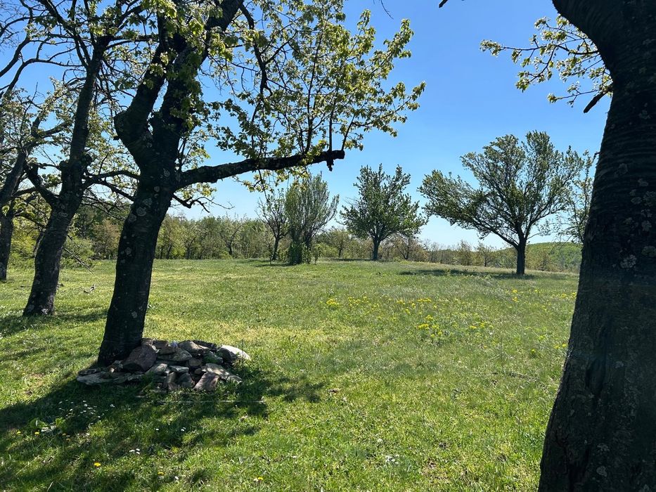 Vand/schimb cu auto teren extravilan