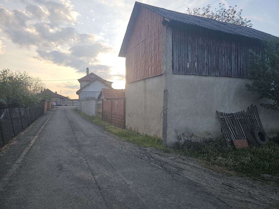 Vand casa in Santaul Mic