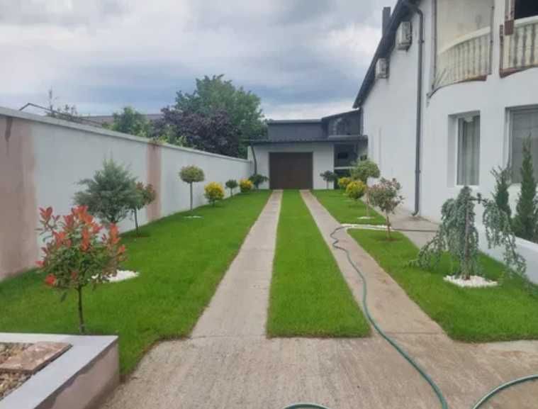 Gazon Rulou Premium: Nivelare, Compactare și Sisteme de Drenaj Inclus