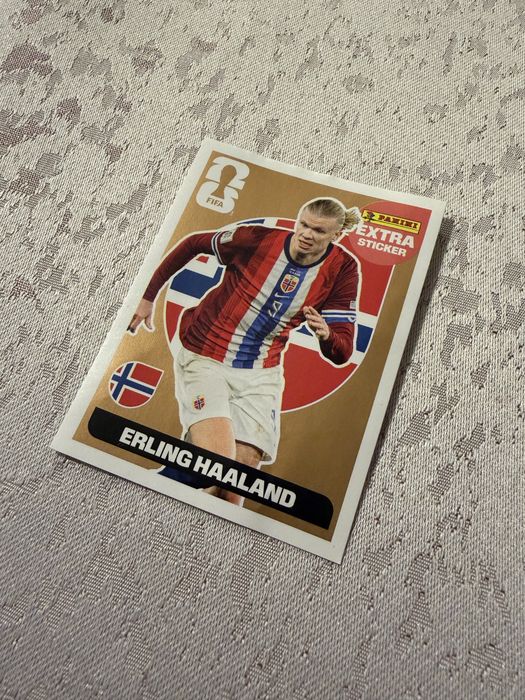 Extra Sticker Bronz Haaland
