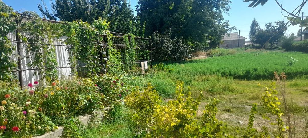 16 SOTIX Hovli sotiladi