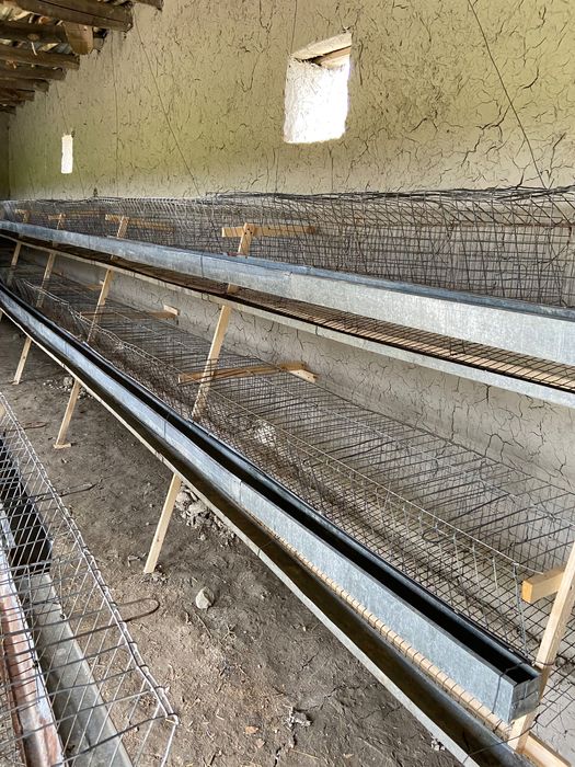 Tovuq katak tayyor lyuks