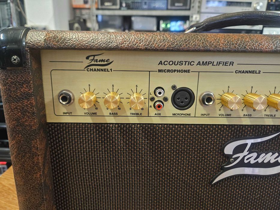 Китарно кубе Fame AC60R Acoustic Combo – Кристален звук за Вашата китара и вокал