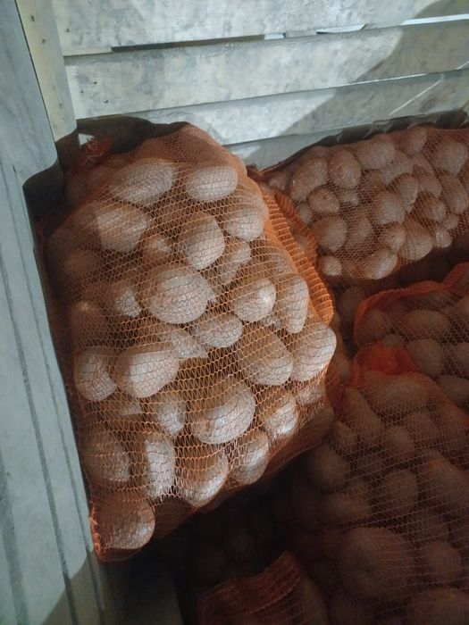 Cartofi extra, albi si rosii, ambalaj 10-25kg