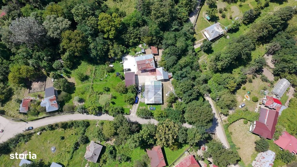 Teren Intravilan 8.277 mp Provița de Jos – Utilități, Râu & Pădure