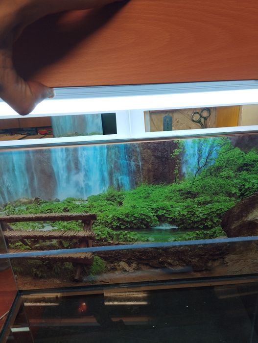 Аквариум на 93 литра